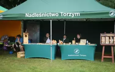 Bieg Ziemi Torzymskiej - 2025 40