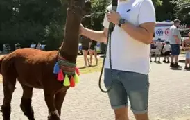 Torzymski Festiwal Uśmiechu 2025 16