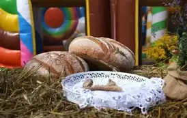 Święto Chleba w Gminie Torzym 2025 3