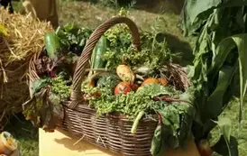 Święto Chleba w Gminie Torzym 2025 6