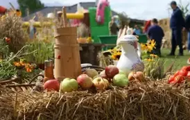 Święto Chleba w Gminie Torzym 2025 12