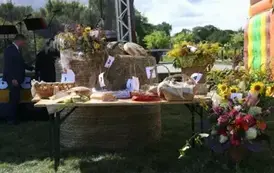 Święto Chleba w Gminie Torzym 2025 18