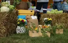 Święto Chleba w Gminie Torzym 2025 22