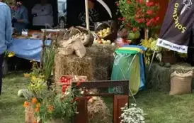 Święto Chleba w Gminie Torzym 2025 28