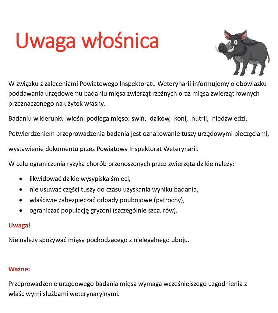 Uwaga włośnica - komunikat maj 2026 przypominający o&nbsp;obowiązku badania mięsa z&nbsp;uboju
