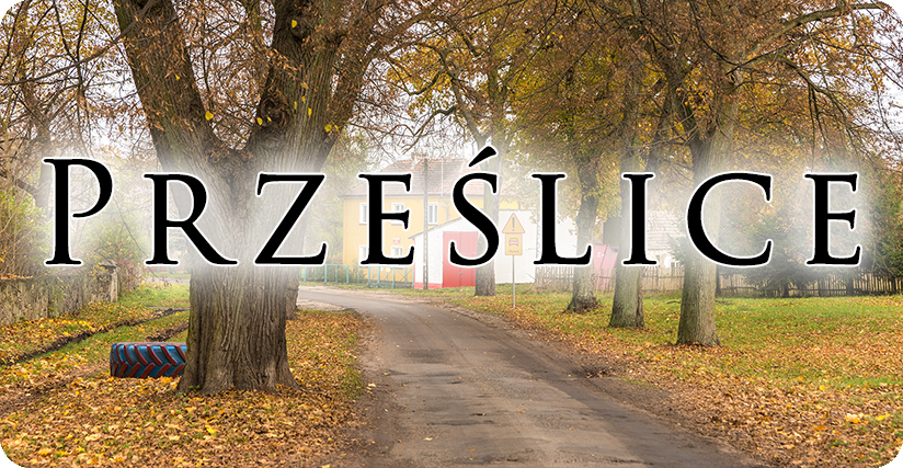 Sołectwo Prześlice Sołectwo Prześlice