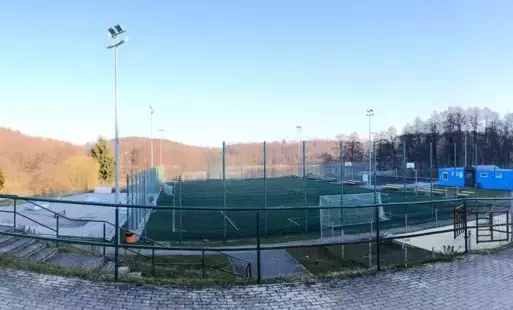 Orlik w Torzymiu
