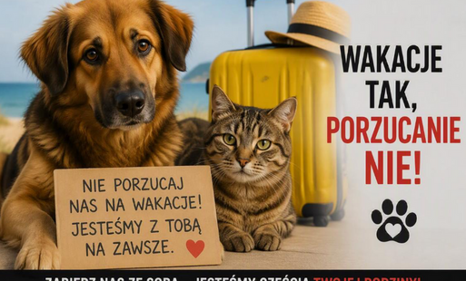 Opieka nad zwierzętami – także w czasie urlopu