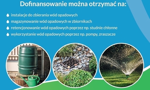 Ilustracja do programu zatrzymaj deszcze w swoim ogrodzie